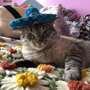 Meet your Posher, Ali